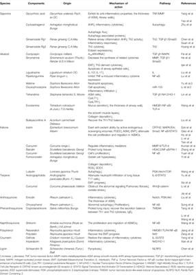 The Role and Mechanisms of Traditional Chinese Medicine for Airway Inflammation and Remodeling in Asthma: Overview and Progress